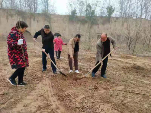 郑州市市场监管局联合爱心企业捐赠石榴树苗 助力乡村振兴